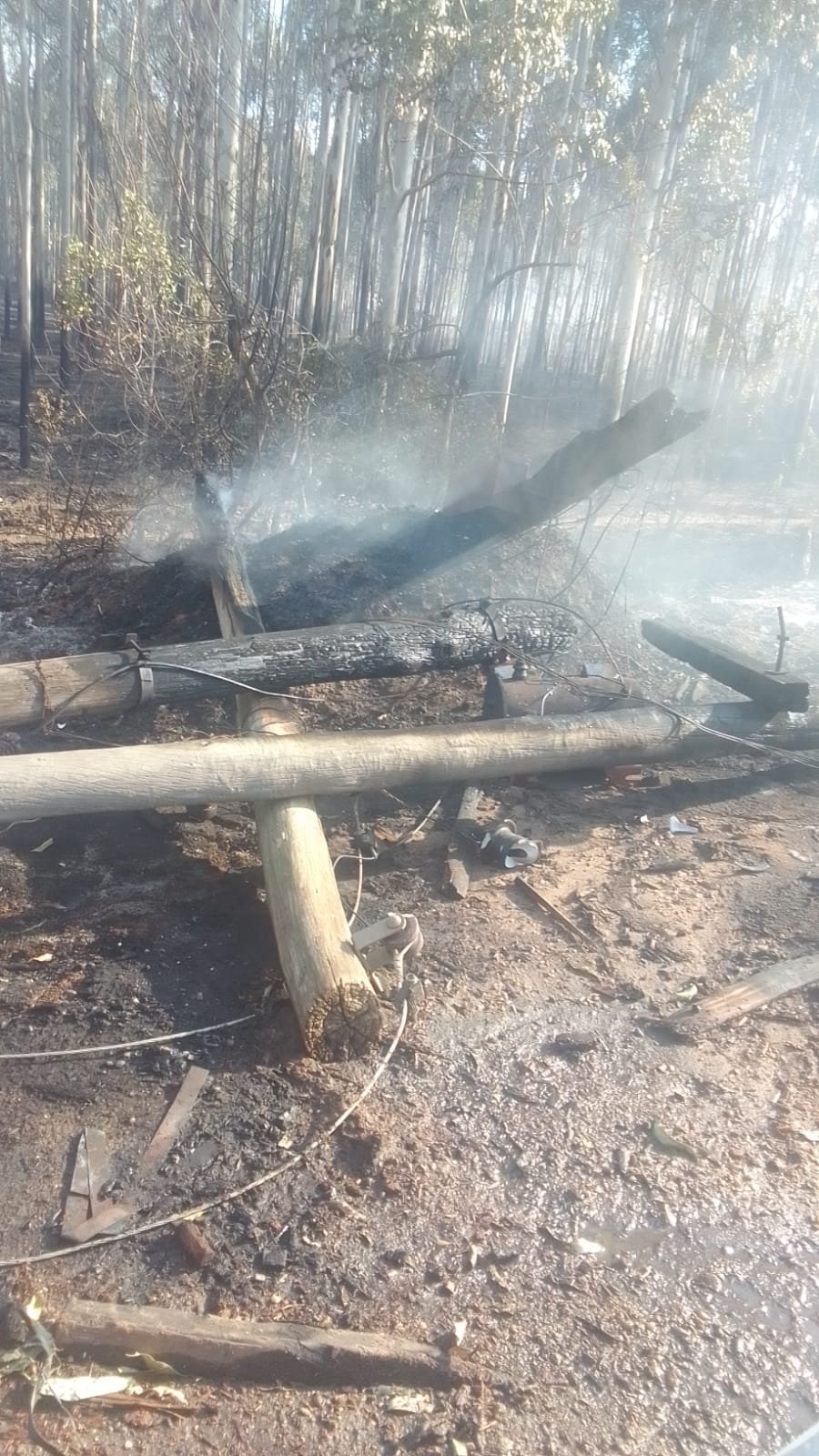 Corrientes Incendio Devor Una Subestaci N Completa De Energ A