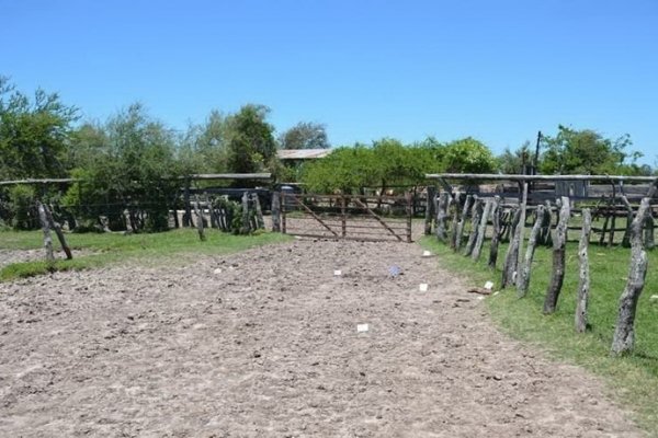 Corrientes: Recuperaron ganado que fueron robado a Héctor Sartori