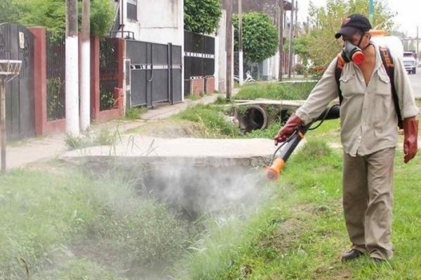 Hay un nuevo caso de Dengue en Corrientes y ya son 10 las personas afectadas por la enfermedad