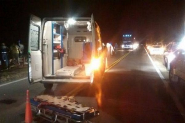 Padre e hijo hospitalizados tras chocar un carpincho sobre Ruta 12