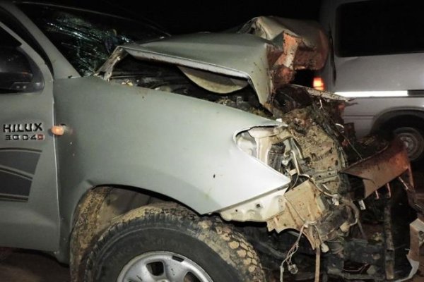 Esquina: Chocó a dos caballos con su camioneta y salió ileso