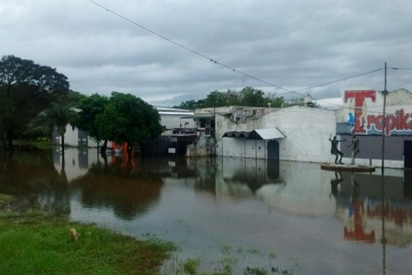 Más de 4 mil afectados por las graves inundaciones