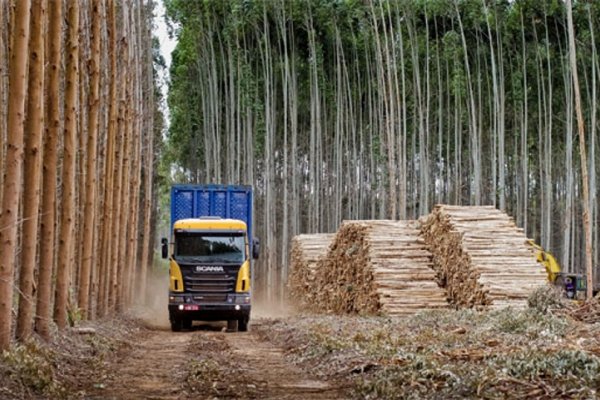 Corrientes pide eliminar aranceles en la importación de maquinaria forestal