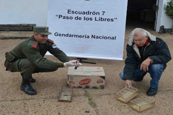 Rescatan en Corrientes a aves que están en peligro de extinción