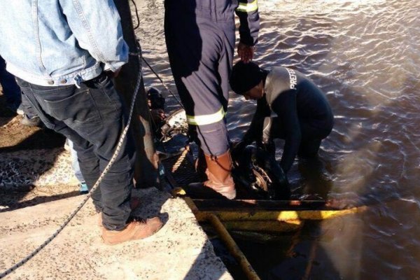 Empedrado: Sigue la búsqueda del motociclista que cayó al río Paraná en una bajada de lanchas