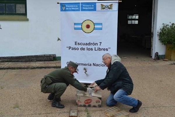 Paso de los Libres: Rescatan y liberan 64 aves cuya comercialización está prohibida