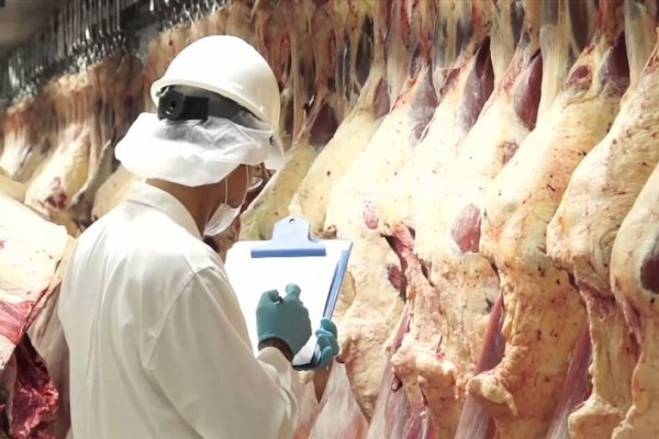 Por falta de frigoríficos, Corrientes no exportará directamente carne a Europa