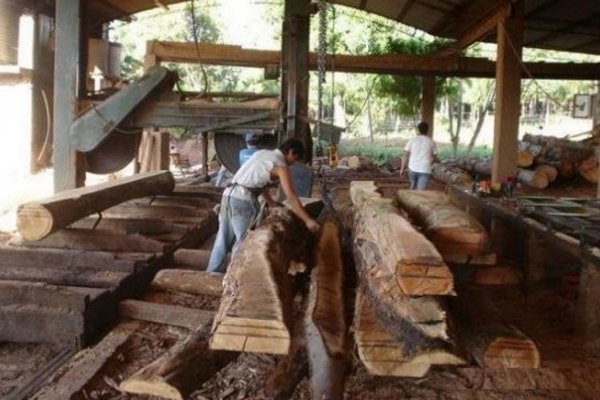 Santo Tomé: Trabajador quedó aplastado cuando apilaba maderas