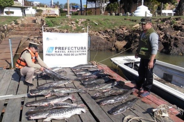 Corrientes: Prefectura incautó 170 kg de pescado en una embarcación