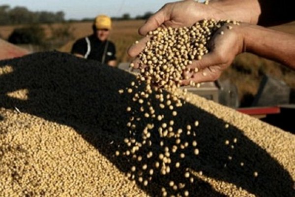 Este año el sector agropecuario movilizará U$S 58 mil millones