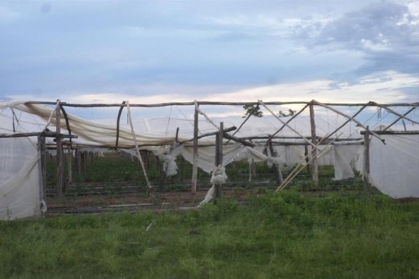 Afirman que es desesperante la situación de los productores hortícolas en el sur de Corrientes