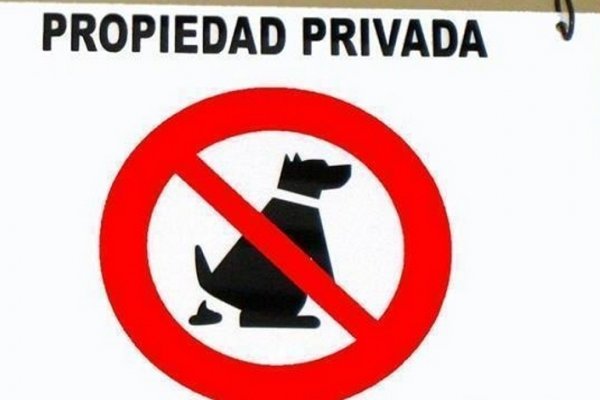 Capital: Multarán a quienes no junten los desechos de sus mascotas