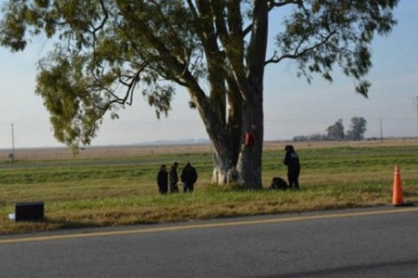 Macabro: Encuentran el cuerpo de una mujer dentro de una valija