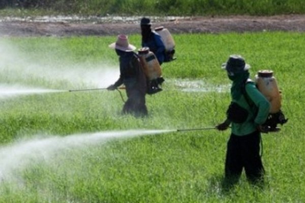 Corrientes: Procesaron a un productor hortícola por la muerte de un niño por agrotóxicos