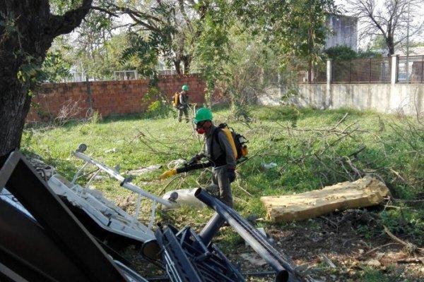 Barrio Hipódromo: Realizan control ante un caso de Leishmanaisis