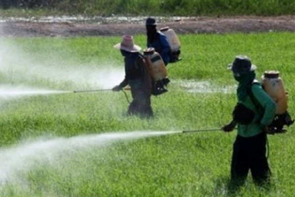 Procesan a un productor por la muerte de un niño intoxicado por agrotóxicos