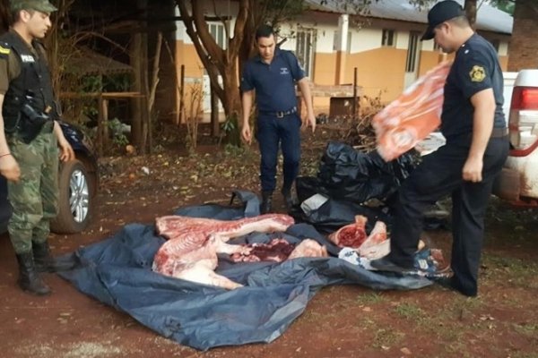 Virasoro: Policías decomisaron 80 kilos de carne porcina en un auto