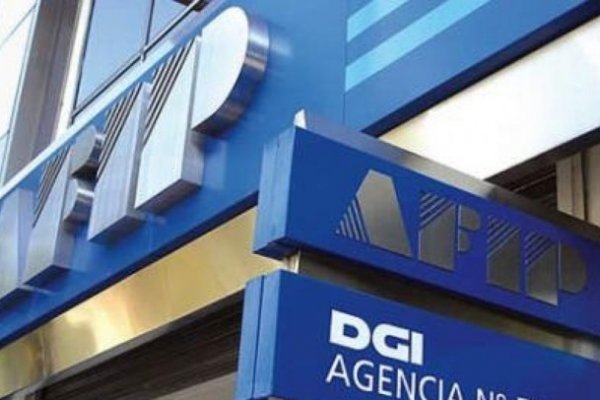 La AFIP detectó propiedades no declaradas por U$S 500 millones