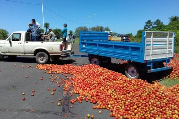 El #GobiernoDeLosRicos para el lado de los tomates