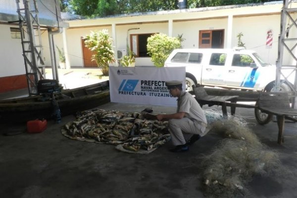 Prefectura incautó 200 kilos de pescado en Isla Apipé Grande