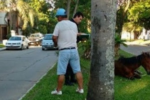 Resistencia: Funcionaria municipal agredida por un carrero