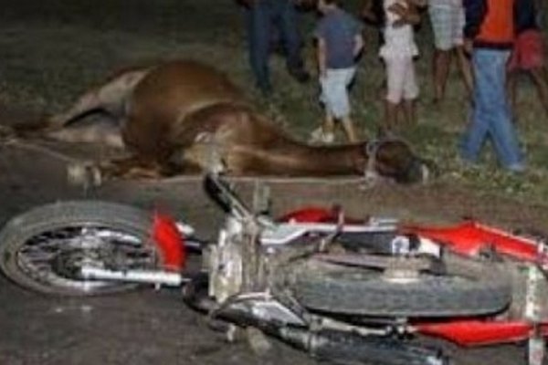 Motociclista herido al chocar contra un jinete en San Luis del Palmar