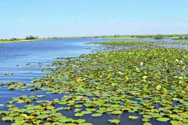 Intensa búsqueda de un joven de 28 años ahogado en la Laguna Iberá