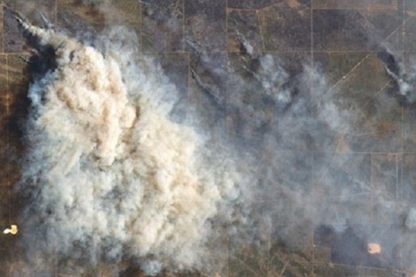 Luego de una semana, Bergman viaja a supervisar los incendios