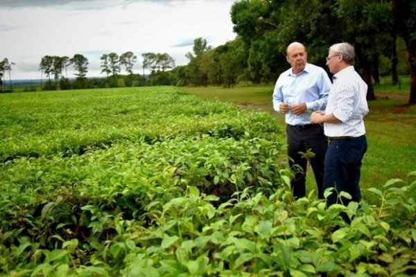 Canteros: La Agroindustria será el motor del desarrollo correntino