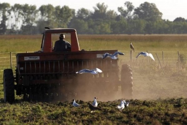 Más de 5000 empleos se perdieron en el campo en el tercer trimestre