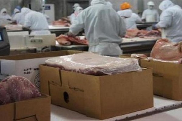 Gobierno aprobó reintegro extra para exportaciones de carne vacuna y avícola