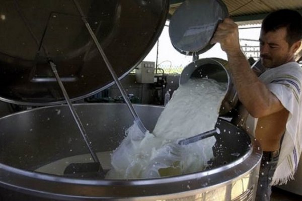 La producción de leche sufrió la peor caída de los últimos 9 años