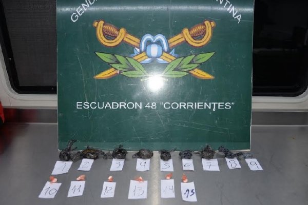 Peaje Riachuelo: Detienen a un hombre que llevaba marihuana y cocaína en un colectivo