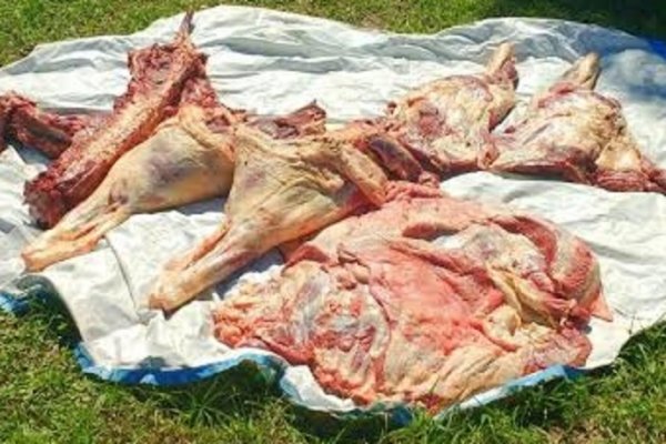 Villa Olivari: Incautan carne no apta para el consumo humano