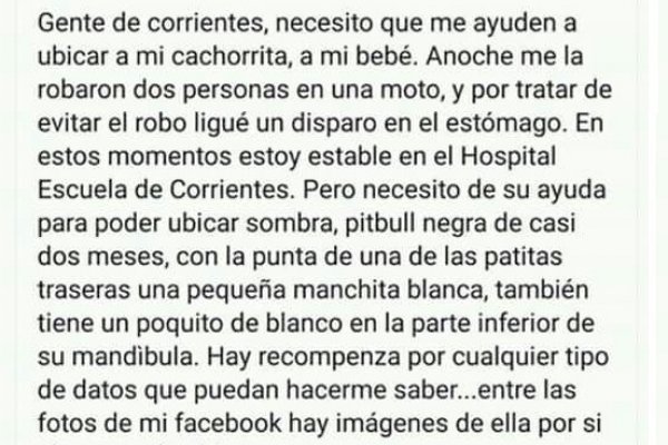 Doloroso reclamo del joven baleado por motochorros: Ayúdenme a ubicar a mi cachorrita