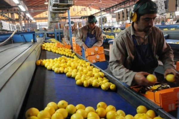 Productores de limones apuntan contra otra medida de Trump