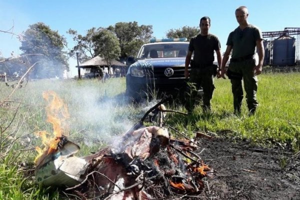 Procedimientos contra la faena clandestina en el Interior