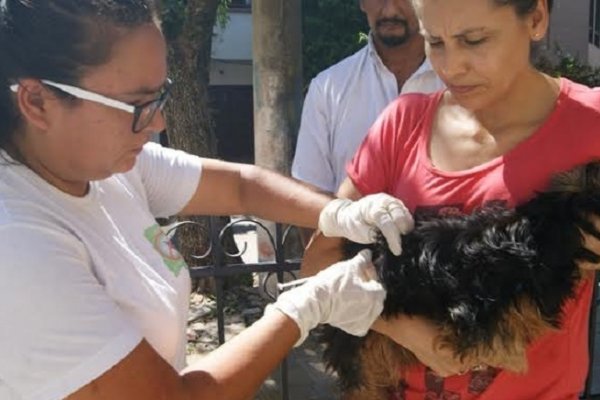 Salud articula acciones con el Consejo de Veterinarios de Corrientes