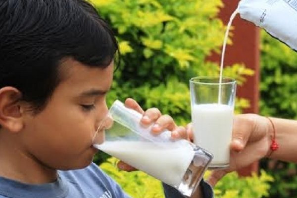 Corrientes: alarma la baja en el consumo de leche