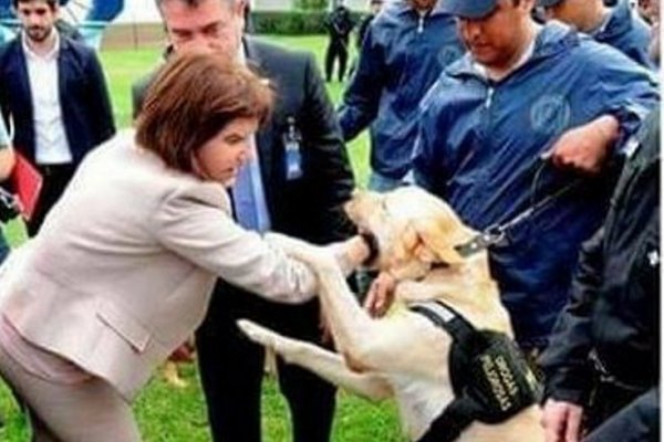 Patricia Bullrich fue mordida por un perro en la presentación de la nueva Policía Federal