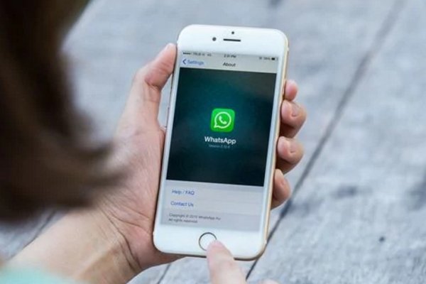 Cayó la mayor red mundial de pedofilia por WhatsApp: hay 11 argentinos investigados