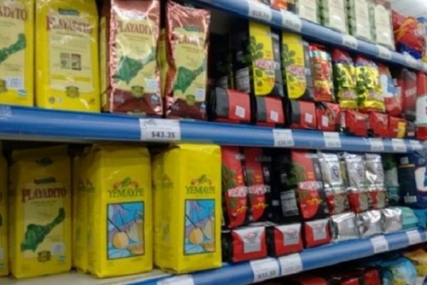 Se espera un nuevo incremento en el precio de la yerba