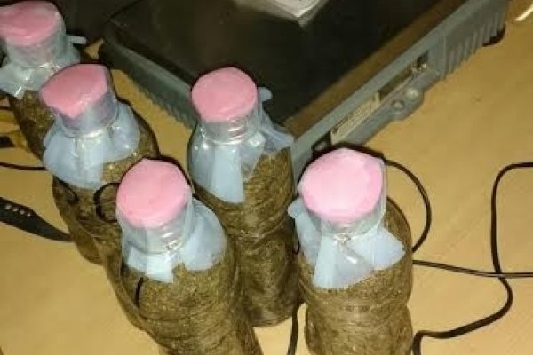 Incautan droga en Corrientes: Esta vez la marihuana estaba oculta en botellas