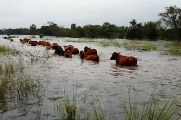 Productores se manifestarán para pedir ayuda por las inundaciones