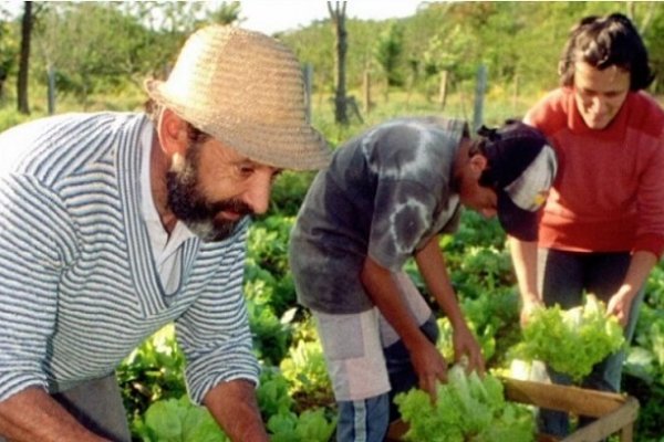 El Gobierno eliminó la Secretaría de Agricultura Familiar