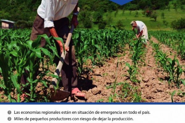 Corrientes: Organizaciones se manifestarán en defensa de los pequeños productores