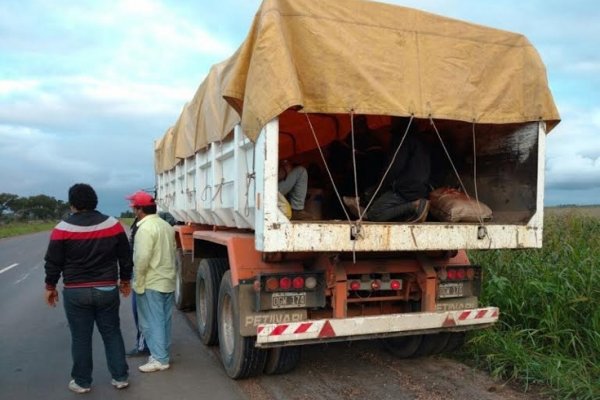 Rescatan a 21 víctimas de explotación laboral que eran trasladadas en un camión municipal