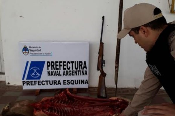 Prefectura secuestró un carpincho y armas