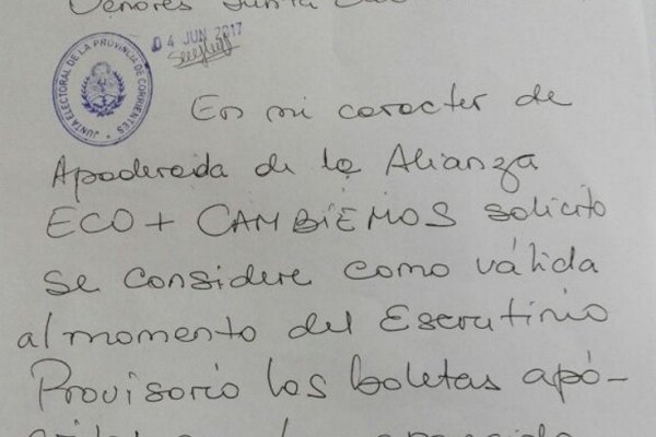 Apoderada de la Alianza ECO+Cambiemos pidió considerar válidas las boletas apócrifas