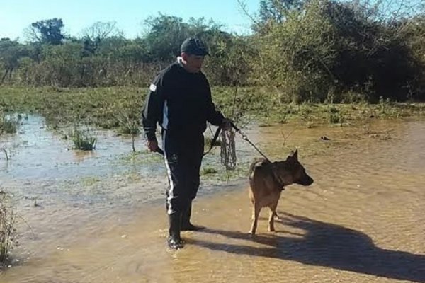 Hallan el cuerpo sin vida de un hombre que estaba desaparecido